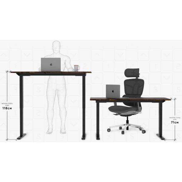 Фото - Стол с электрорегулировкой высоты Evo-kids PowerDesk Duo Antique (EVO-242 Duo Antique / Black)